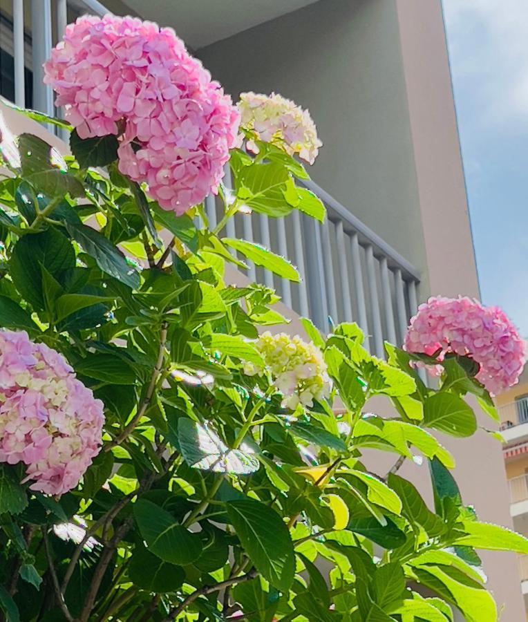 Sun Beach Ajaccio  Zewnętrze zdjęcie
